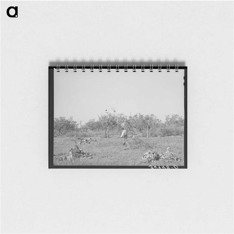 アートメモ帳-Clearing Land, San Angelo
 - ラッセル リー Memo.