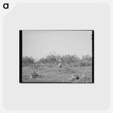 アートポストカード-Clearing Land, San Angelo
 - ラッセル リー Postcard.