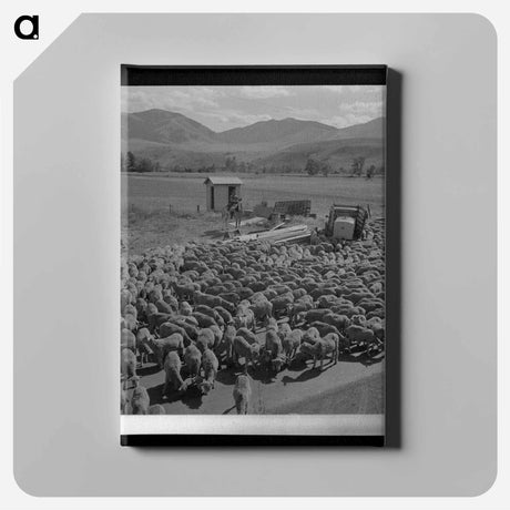 アートパネル-Sheep in Grant County
 - ラッセル リー Canvas.