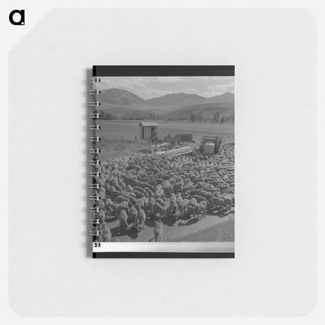 アートメモ帳-Sheep in Grant County
 - ラッセル リー Memo.