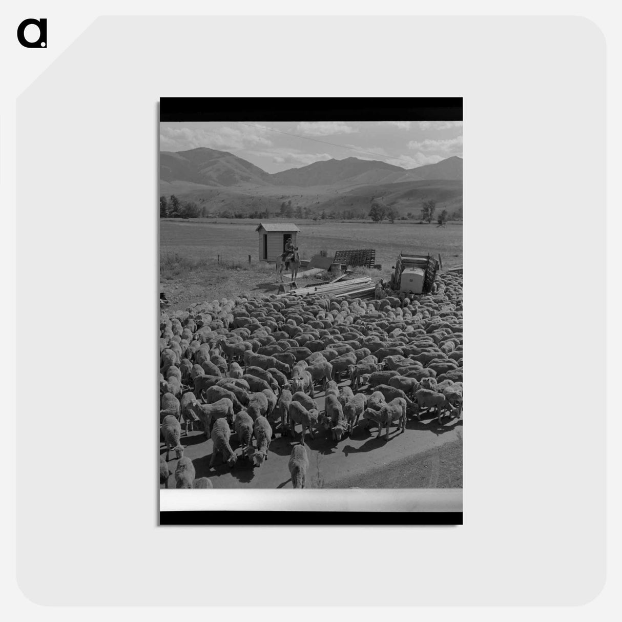 アートポストカード-Sheep in Grant County
 - ラッセル リー Postcard.