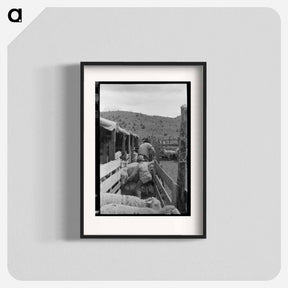 アートポスター-Driving Sheep into Shearing Pen
 - ラッセル リー Poster.