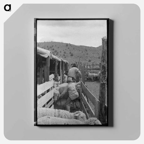 アートパネル-Driving Sheep into Shearing Pen
 - ラッセル リー Canvas.