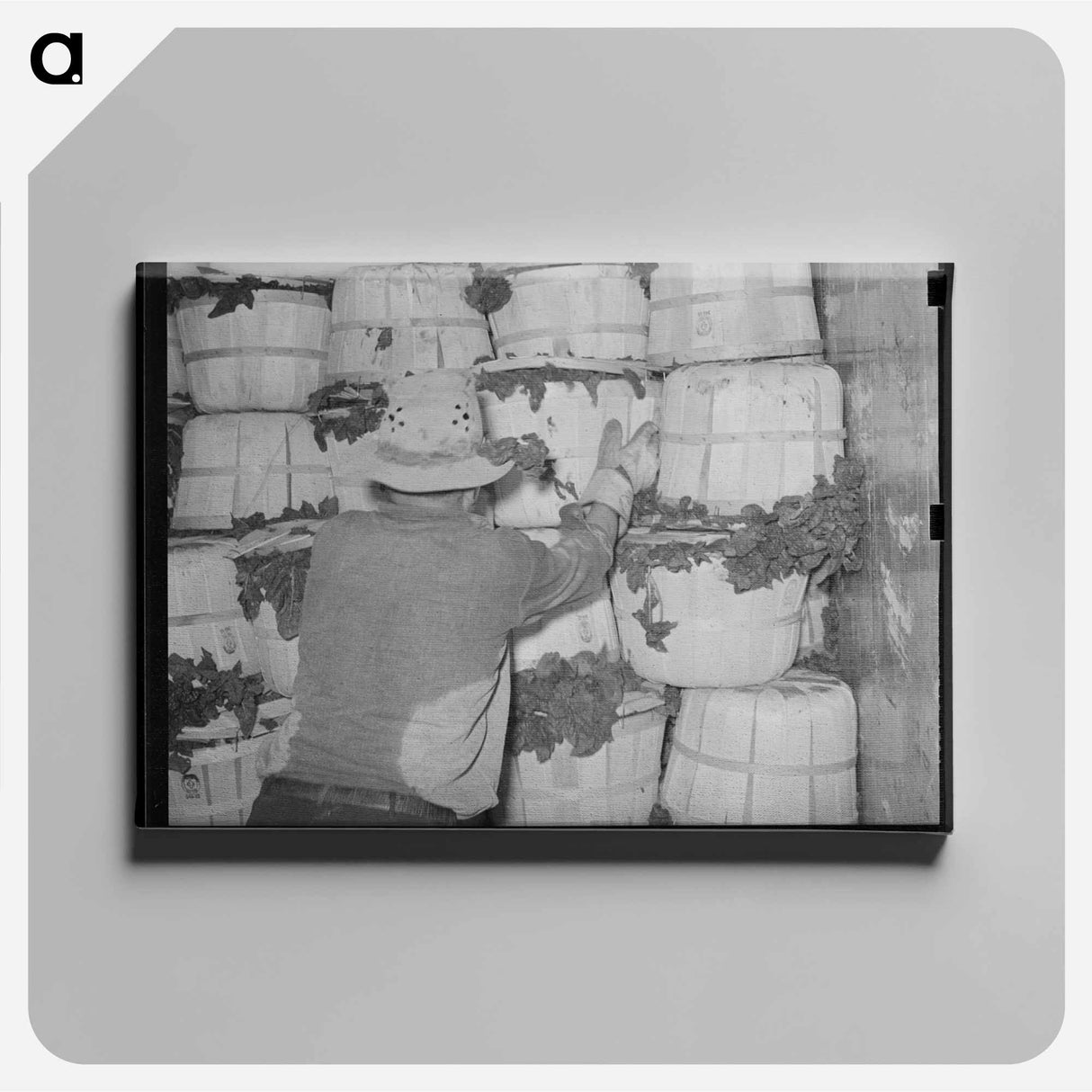 アートパネル-Packing Spinach
 - ラッセル リー Canvas.
