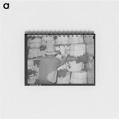 アートメモ帳-Packing Spinach
 - ラッセル リー Memo.
