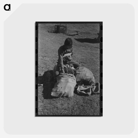 アートポストカード-Walnut Harvest
 - ラッセル リー Postcard.