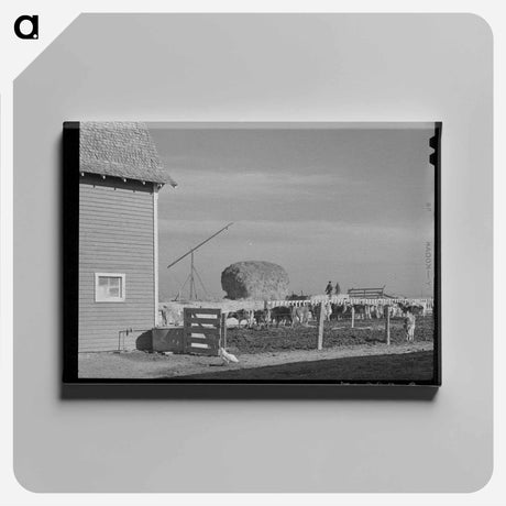 アートパネル-Dairy Cattle on Black Canyon Project
 - ラッセル リー Canvas.