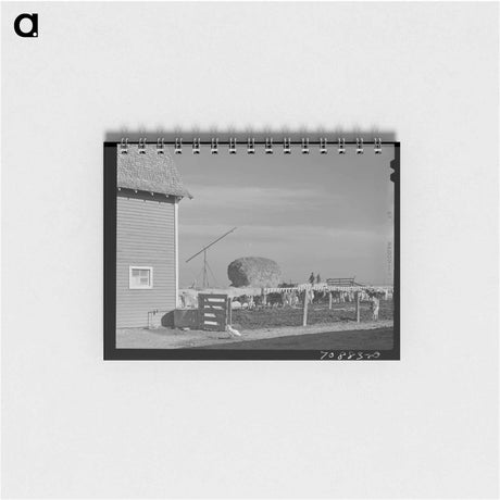 アートメモ帳-Dairy Cattle on Black Canyon Project
 - ラッセル リー Memo.