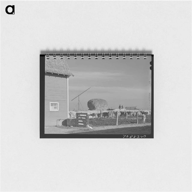 アートメモ帳-Dairy Cattle on Black Canyon Project
 - ラッセル リー Memo.
