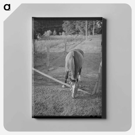 アートパネル-Clackamas County, Oregon
 - ラッセル リー Canvas.