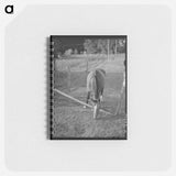 アートメモ帳-Clackamas County, Oregon
 - ラッセル リー Memo.