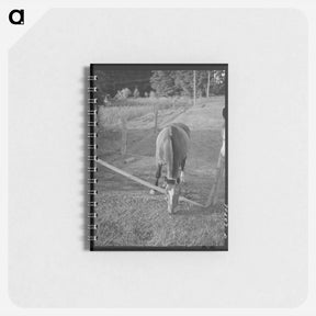 アートメモ帳-Clackamas County, Oregon
 - ラッセル リー Memo.