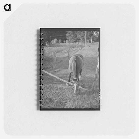 アートメモ帳-Clackamas County, Oregon
 - ラッセル リー Memo.