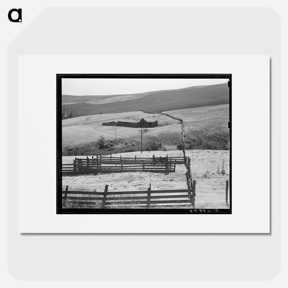 Untitled photo - Dorothea Lange Poster.
