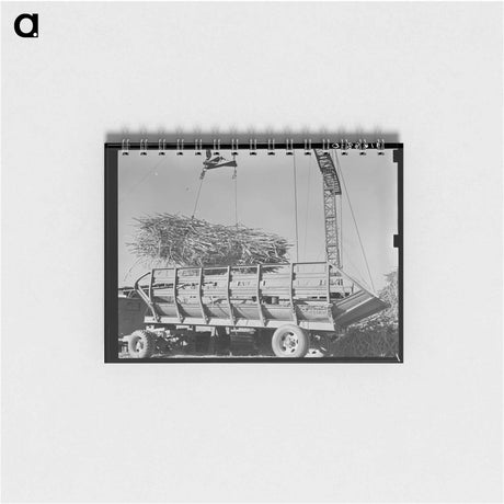 アートメモ帳-Sugarcane Unloading
 - ラッセル リー Memo.