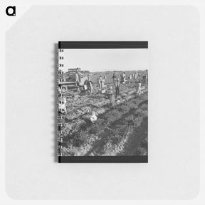 アートメモ帳-Untitled photo - ドロテア ラング Memo.
