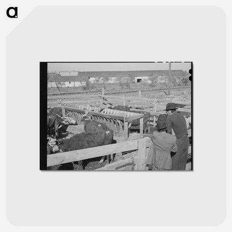 アートポストカード-Stockyard, San Angelo
 - ラッセル リー Postcard.