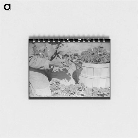 アートメモ帳-Spinach Cutter, La Pryor, Texas
 - ラッセル リー Memo.