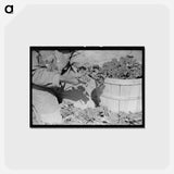 アートポストカード-Spinach Cutter, La Pryor, Texas
 - ラッセル リー Postcard.