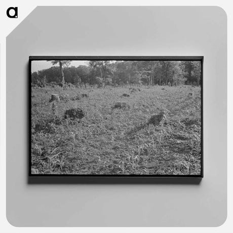 アートパネル-Corn on Freshly Cut Land
 - ラッセル リー Canvas.