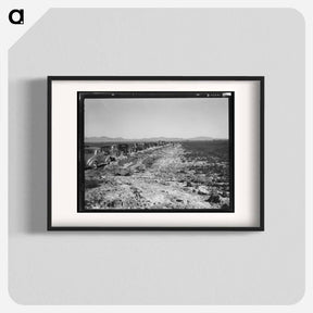 アートポスター-Pea field during harvest on Sinclair Ranch, near Calipatria, Imperial Valley, California - ドロテア ラング Poster.