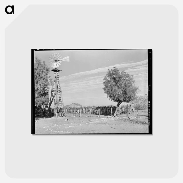 アートポストカード-Mexican Farm, Hidalgo County
 - ラッセル リー Postcard.