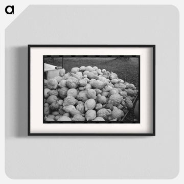 Squash Near Berlin
 - ラッセル リー Poster.