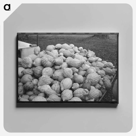 アートパネル-Squash Near Berlin
 - ラッセル リー Canvas.