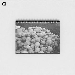 アートメモ帳-Squash Near Berlin
 - ラッセル リー Memo.