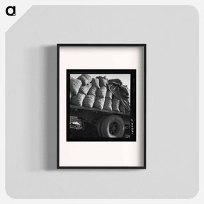 アートポスター-Kern County, California. Truck loaded with potato seed. - ドロテア ラング Poster.