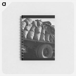 アートメモ帳-Kern County, California. Truck loaded with potato seed. - ドロテア ラング Memo.