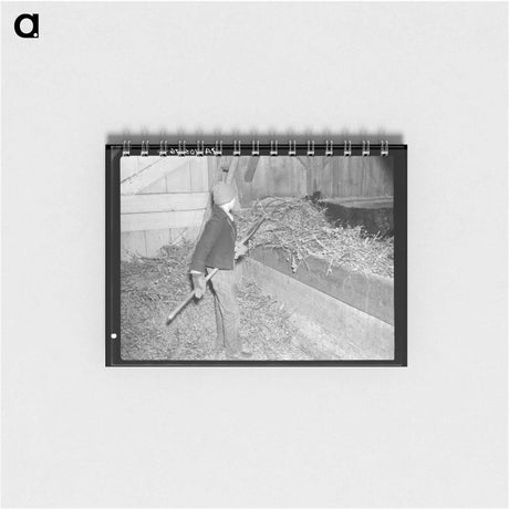 アートメモ帳-Hay for the Cattle
 - ラッセル リー Memo.