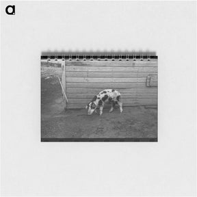 アートメモ帳-McDermott's Hogs
 - ラッセル リー Memo.