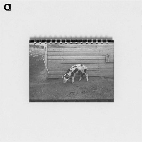 アートメモ帳-McDermott's Hogs
 - ラッセル リー Memo.