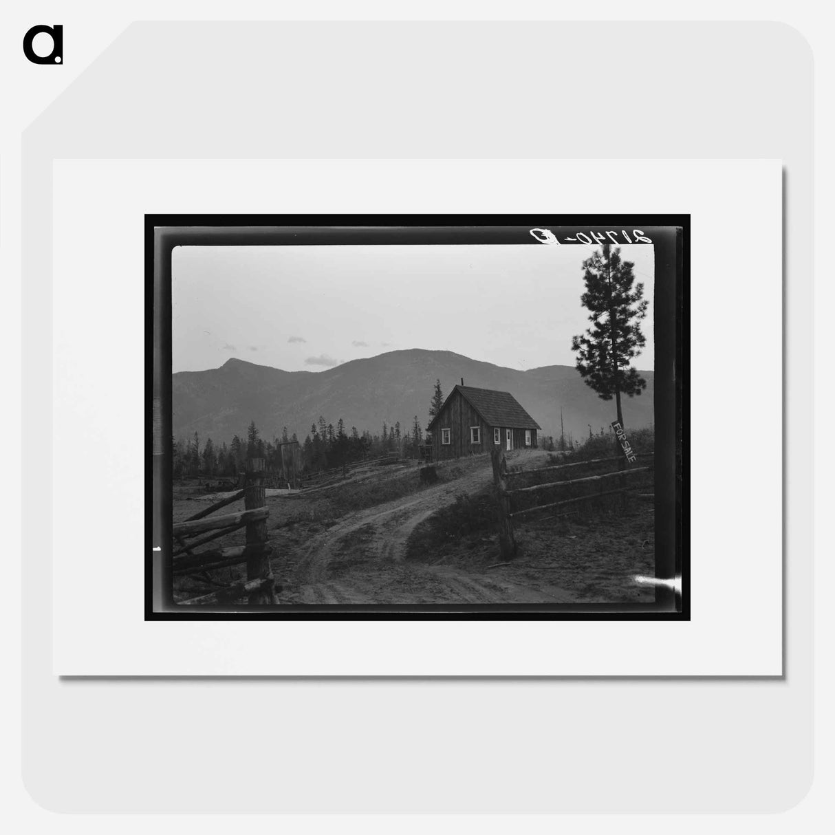 Untitled photo - Dorothea Lange Poster.