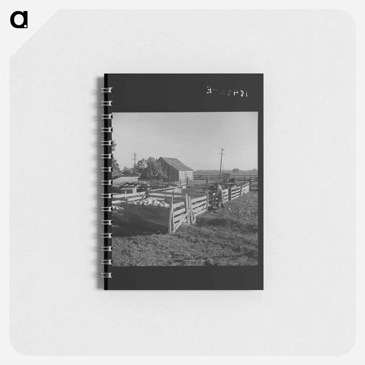 Untitled photo - ドロテア ラング Memo.