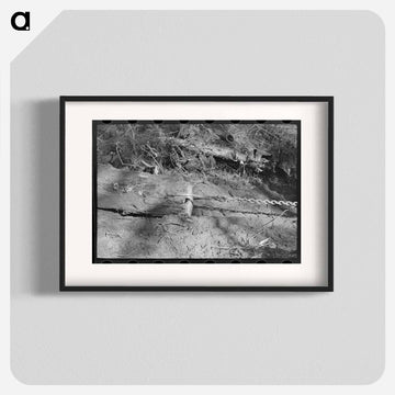 Dragging Timber at Effie Camp
 - ラッセル リー Poster.