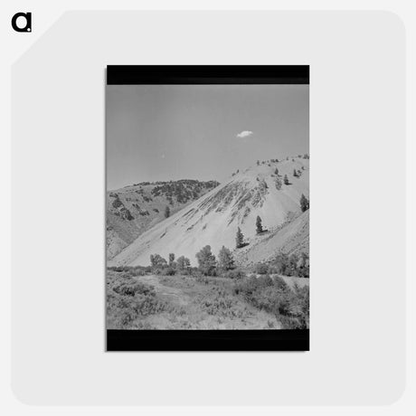 アートポストカード-Salmon River Valley
 - ラッセル リー Postcard.