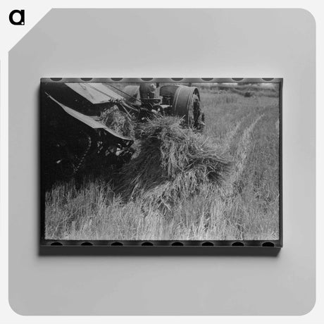 アートパネル-Cutting Rice With Binder
 - ラッセル リー Canvas.
