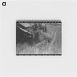 アートメモ帳-Cutting Rice With Binder
 - ラッセル リー Memo.