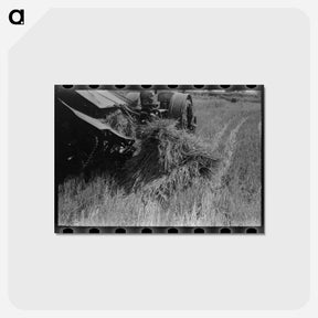アートポストカード-Cutting Rice With Binder
 - ラッセル リー Postcard.