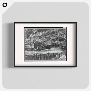 Shasta Dam Construction
 - ラッセル リー Poster.