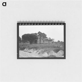 アートメモ帳-Story-and-a-half weatherboard house - ドロテア ラング Memo.