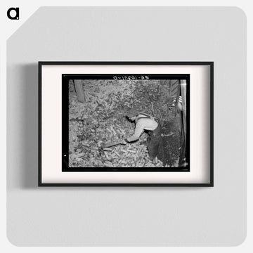 Flooded Corn
 - ラッセル リー Poster.