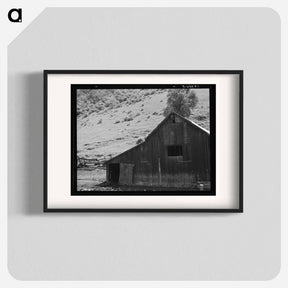 アートポスター-Barn in a valley back of Mission San Jose - ドロテア ラング Poster.