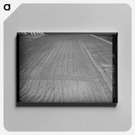 アートパネル-Harrowed Field, Mineral King
 - ラッセル リー Canvas.