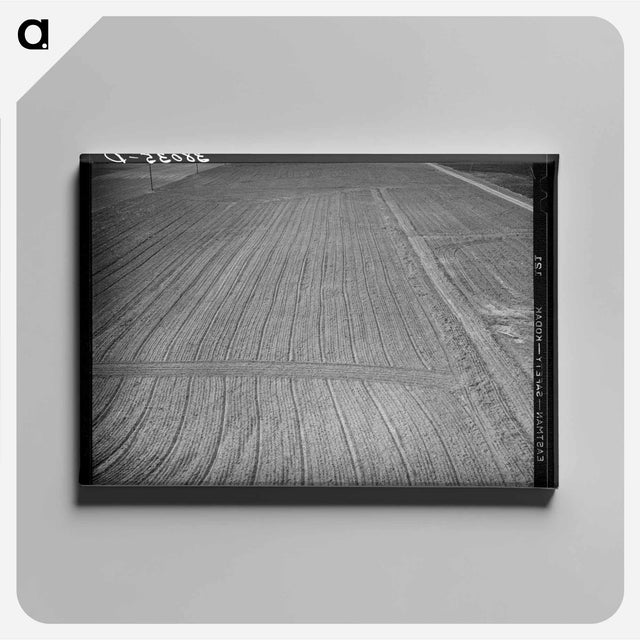 アートパネル-Harrowed Field, Mineral King
 - ラッセル リー Canvas.