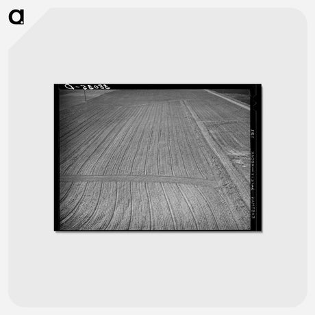 アートポストカード-Harrowed Field, Mineral King
 - ラッセル リー Postcard.