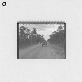 アートメモ帳-Wagon hauling turpentine out of the woods. Georgia. - ドロテア ラング Memo.