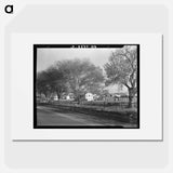 View of Kern migrant camp, California - Dorothea Lange Poster.